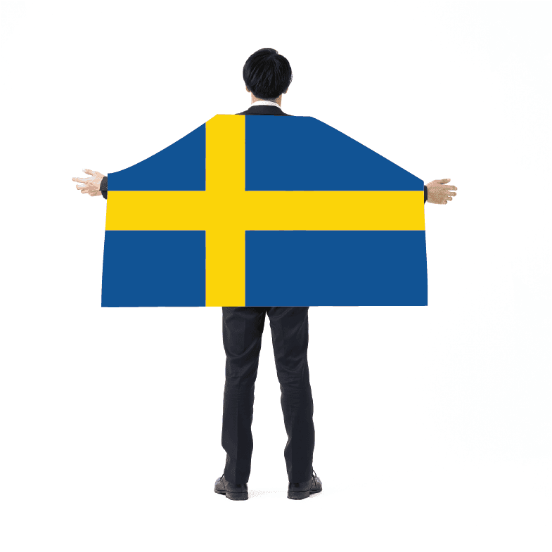 Bild på Sverige Flagga